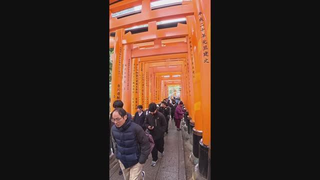 Тысячи ворот в Киото: Зимняя прогулка в Фусими Инари