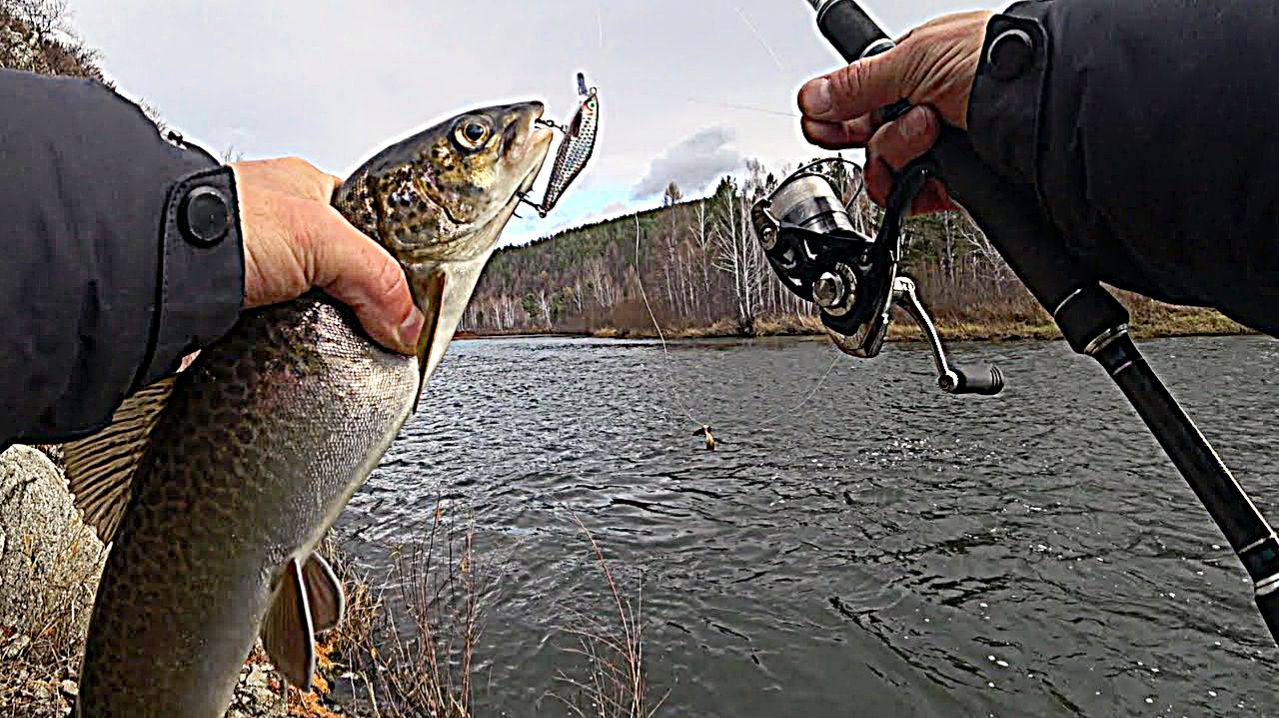 УЛОВИСТЫЕ ВОБЛЕРЫ НА ЛЕНКА И ТАЙМЕНЯ.
