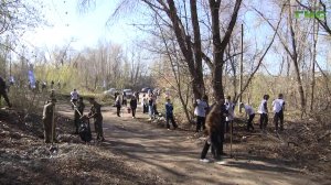 Береговую линию в Куйбышевском районе Самары привели в порядок