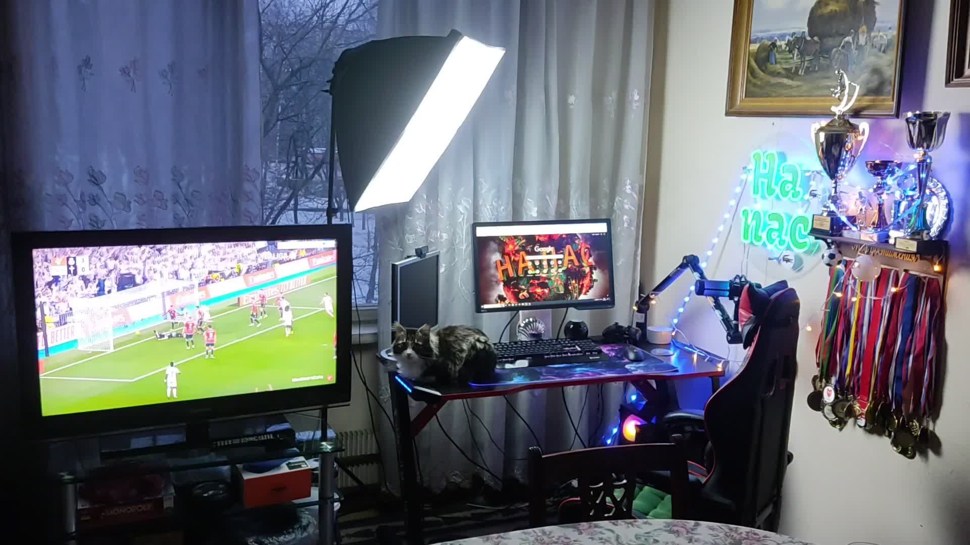 Всемирный день досуга