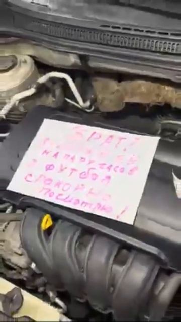 Мужская солидарность