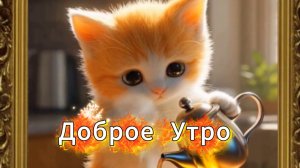 Доброе утро: открытки с добрым утром и музыкальные пожелания | Домохозяйка Ната