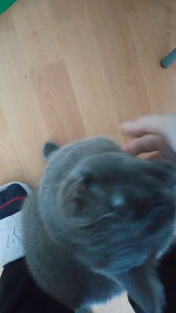 VID_20260416_164357 1 16.04.2026