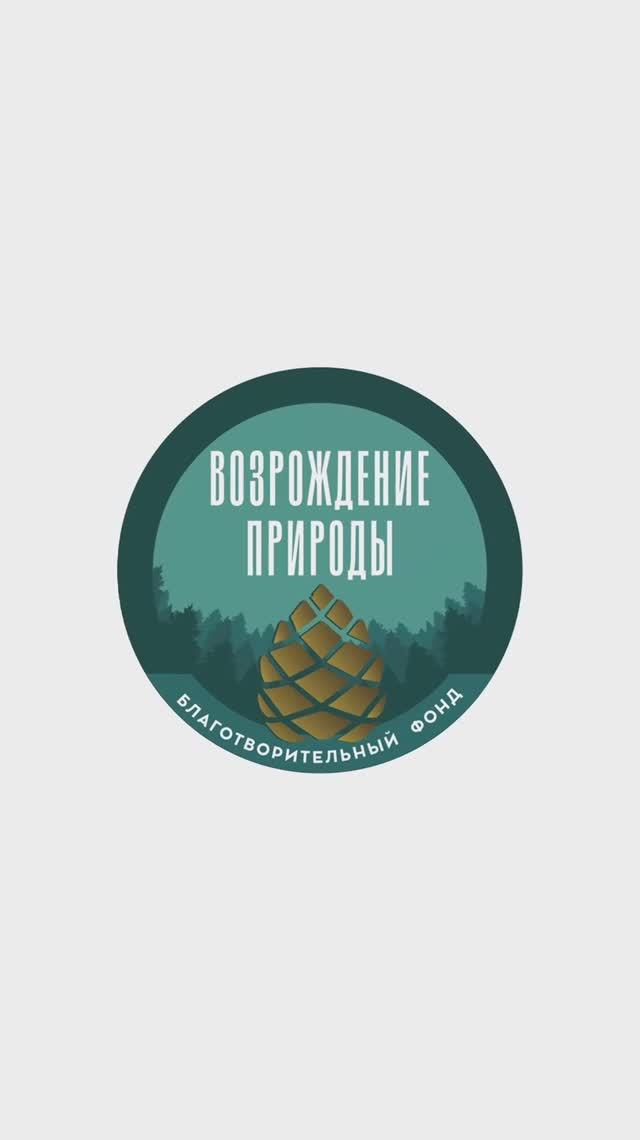 До старта «Экологического компаса» остались считанные дни!