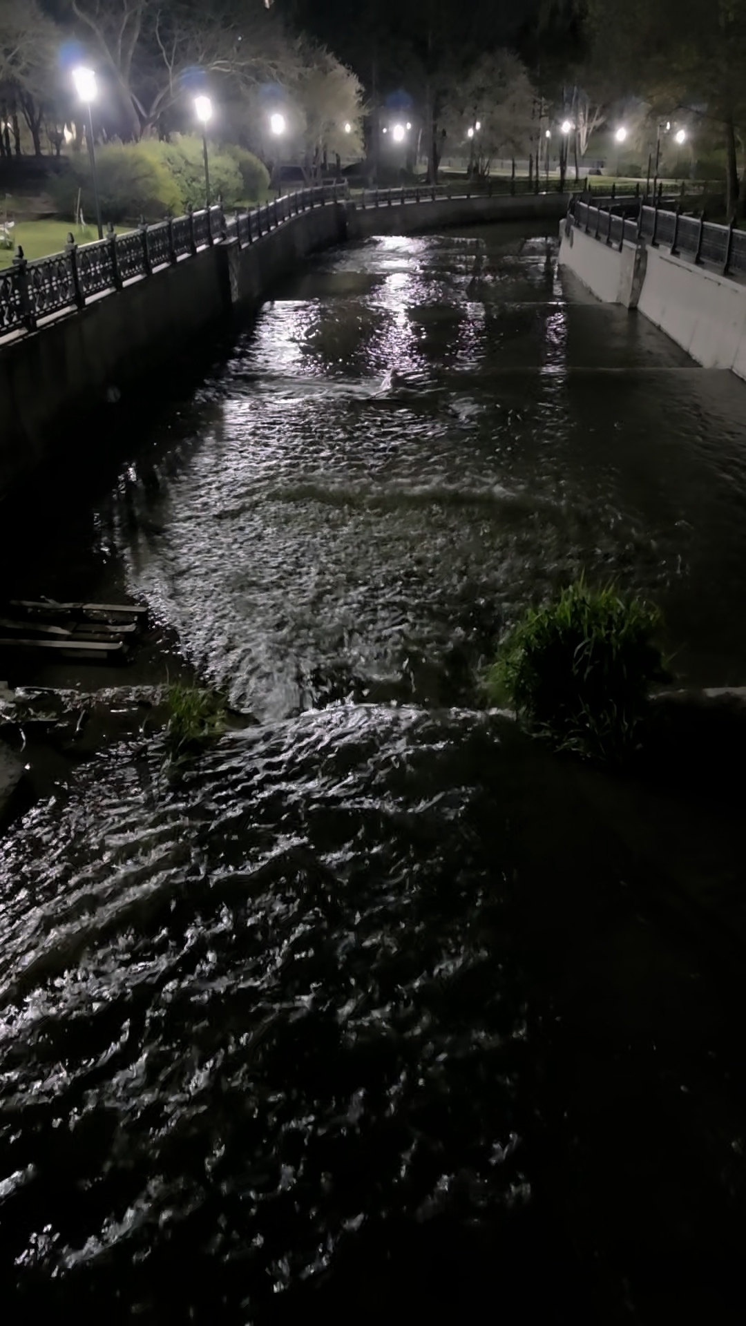 Симферополь 16 апреля 2026 россия крым samsung море черноеморе отдых юг видео симферополь