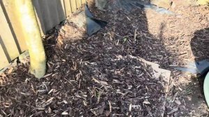 327. Последние новости из Уэльса.