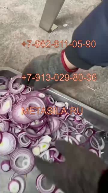 Станок для нарезки лука кольцами TLK03