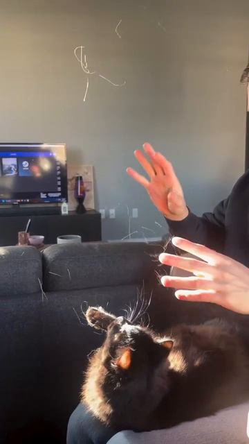 Такое чувство что они бесконечно линяют