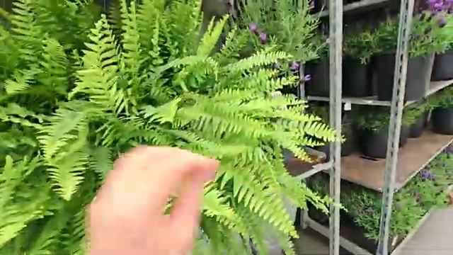 Покупки в Америке Шопинг день