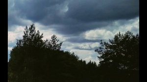 К. Симонов. Ты помнишь, Алёша, дороги Смоленщины...