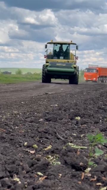 #кормозаготовка #кормопроизводство #силос #сенаж #крс #заготовкасилоса #зоотехния #агрошкола