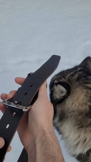 Ремень из натуральной кожи именной заказать можно в любой из соцсетей 25 КОРДОН 25_CORDON