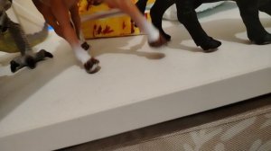 Шляйх сериал воин луны 1 серия 1 сезона(Концерт)