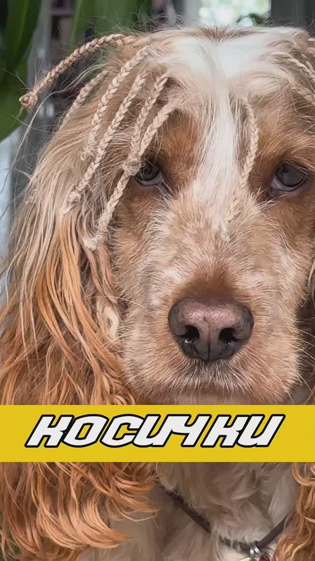 Как вам косички?😂❤️