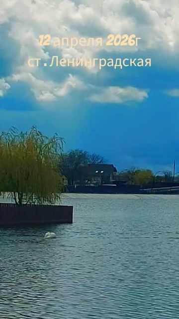 ст.Ленинградская весна 2026