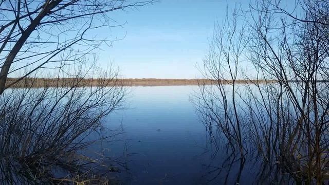 Немного природы