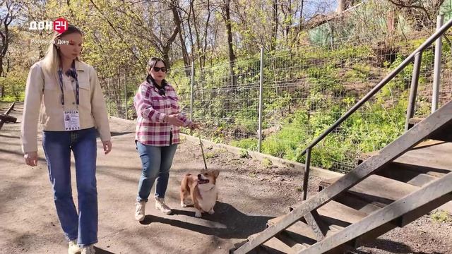 Гуляют, где приходится