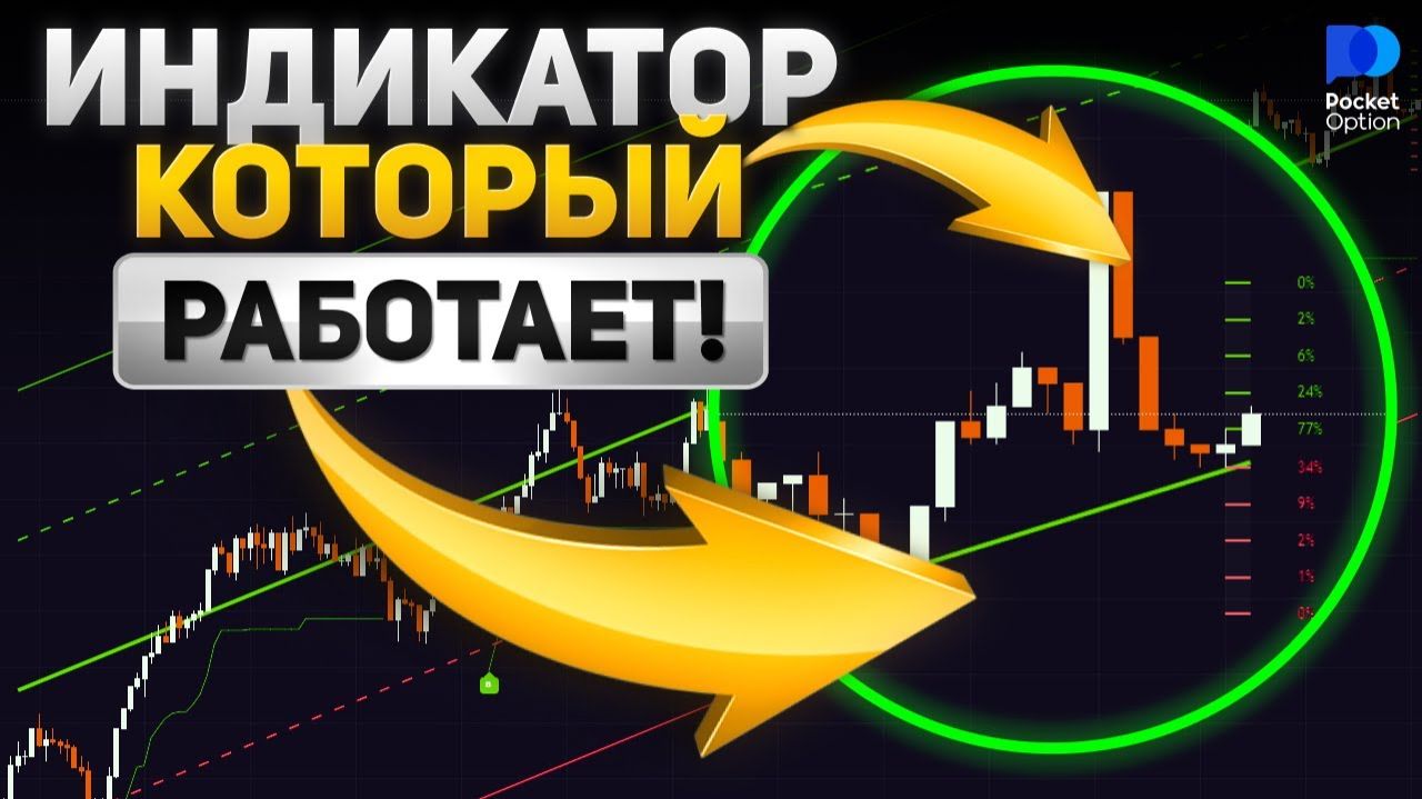 📈 От Новичка к ПРОФИ | Мой Путь за 6 МЕСЯЦЕВ 2026