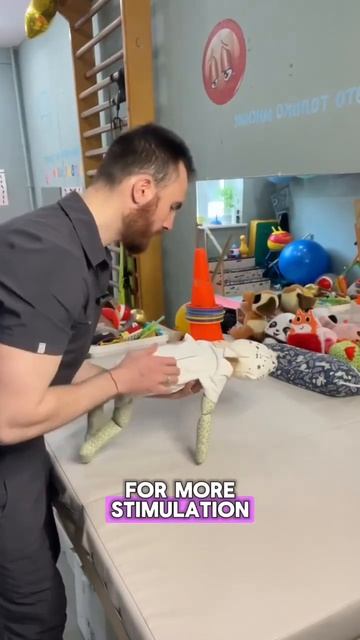 Understanding muscle tone 