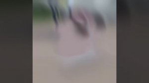 гугу гага эдит...