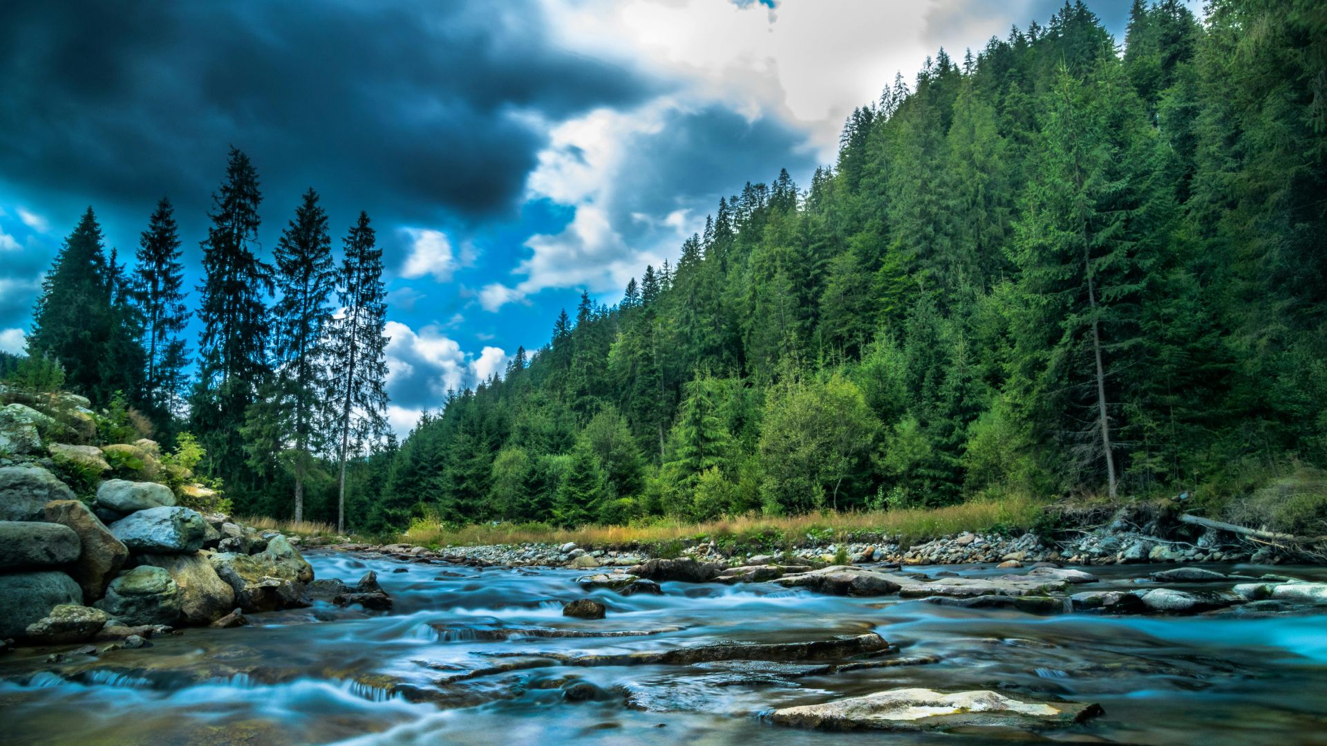 Коран на русском языке сура 016. Пчелы ( Ан-Нахьл )