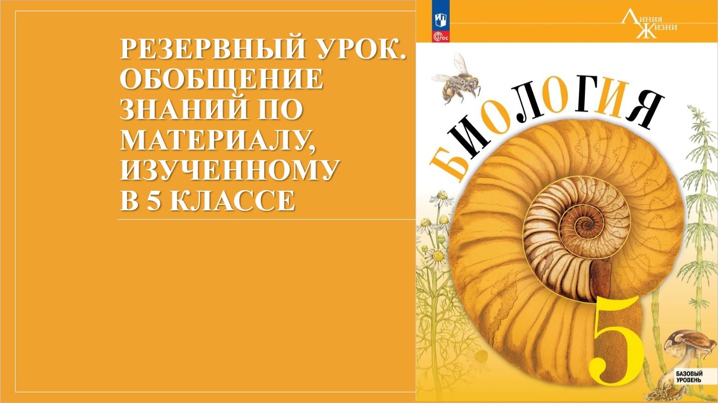 Урок 34. Резервный урок. Обобщение знаний по материалу, изученному в 5 классе