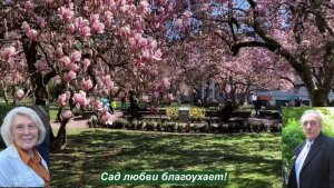 Сад любви благоухает! Стихи Галины Миних Макогон. Аудио Александра Задорожного.