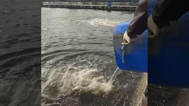 80FZdrd1-14_org_1776326510250