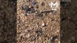 16-04-2026.Настоящая обстановка на пляжах Анапы.