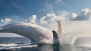 песня море внутри нас.mp4