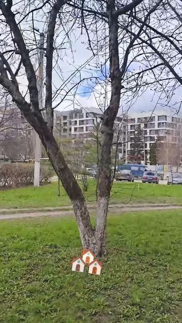 врезанные в небытие человейники 