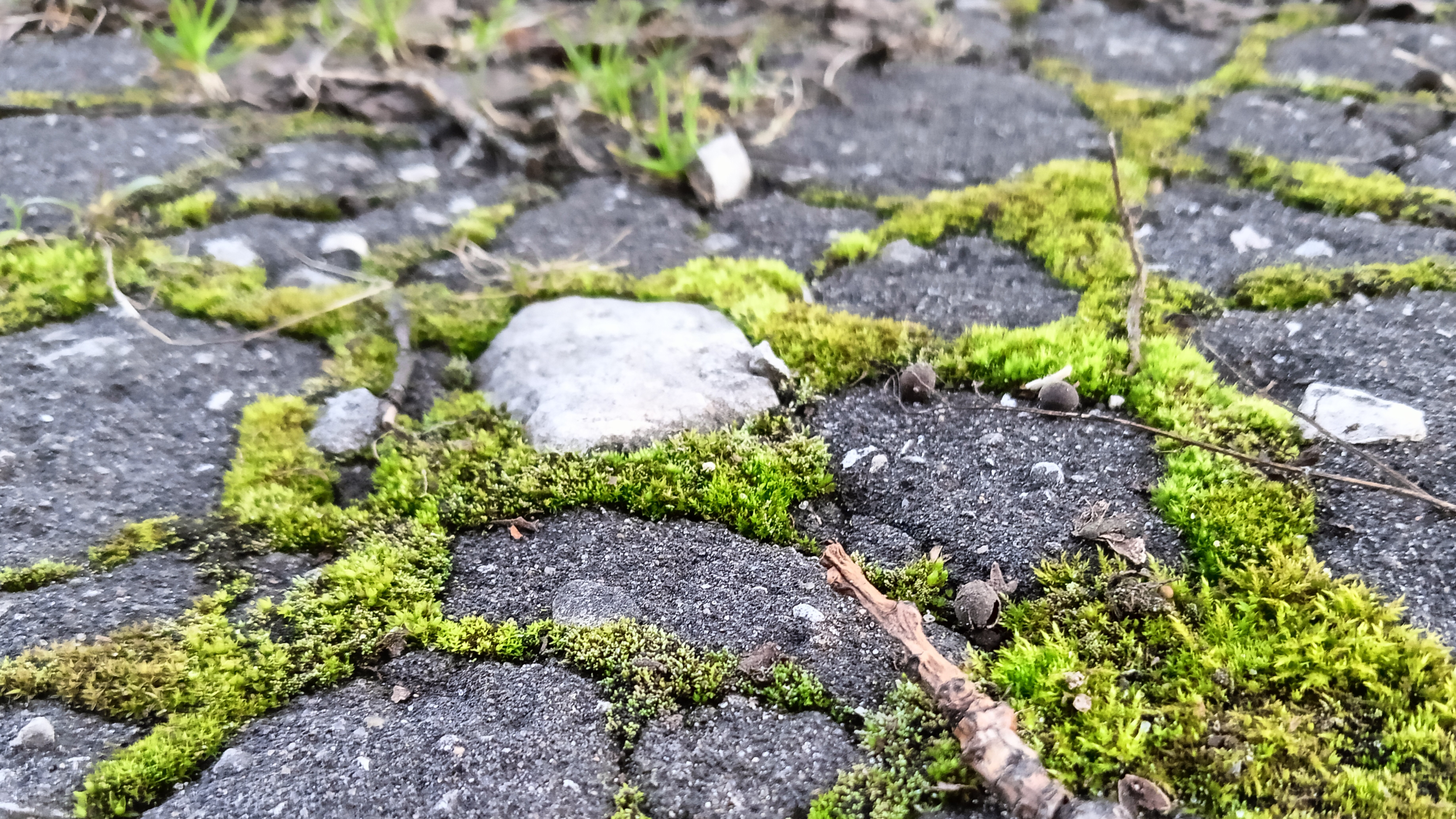 Вопросы и ответы 2 часть