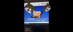 ЖЕЛЕ будем готовить желе