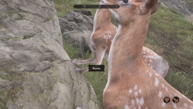 Oblivion Remastered. Два оленя тупят в скалу