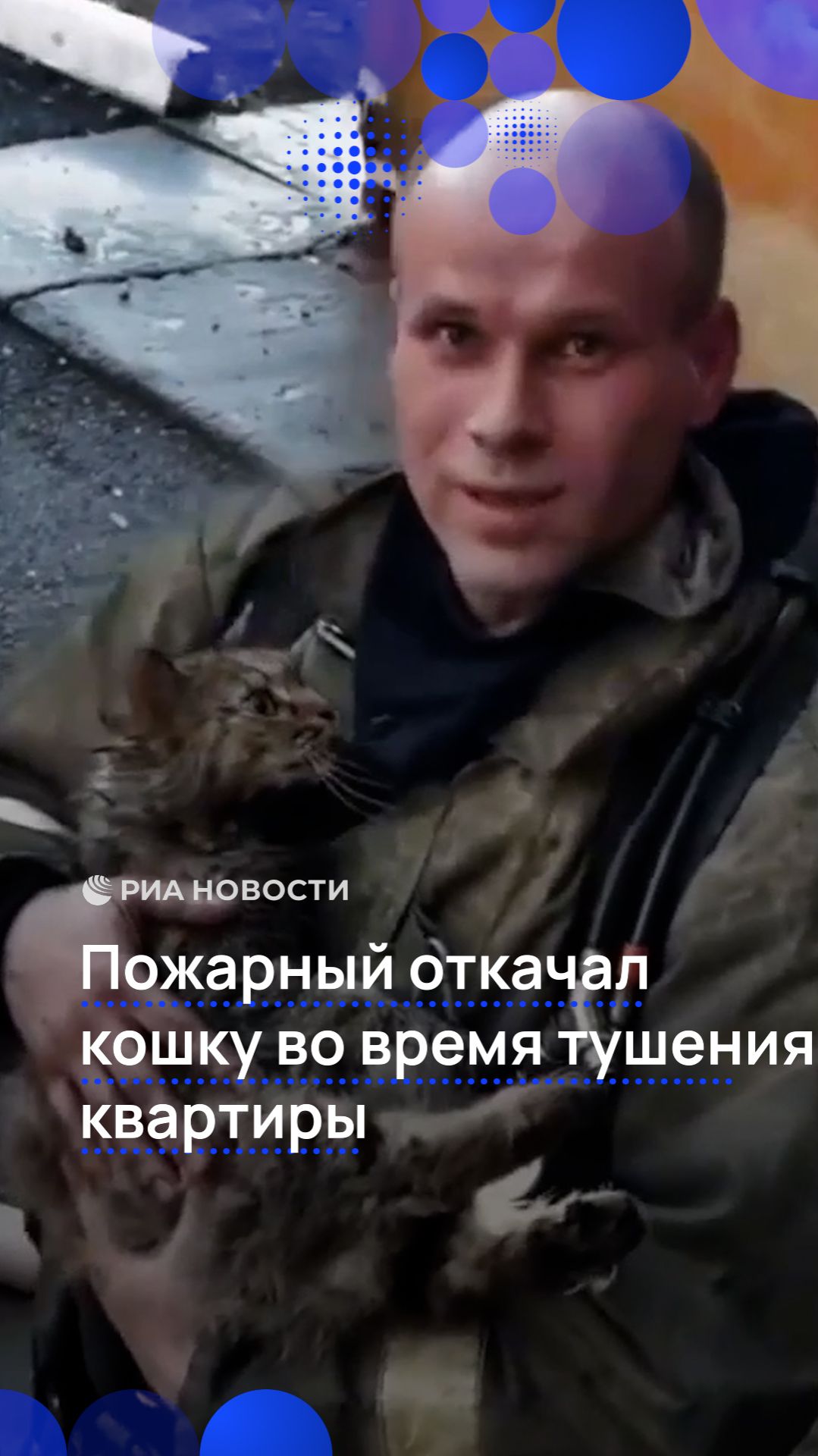 Пожарный откачал кошку во время тушения квартиры