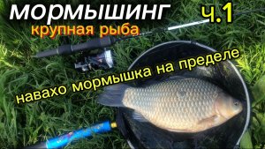 Крупные караси и судаки на МОРМО!. Навахо мормышка 168..Часть 1-я