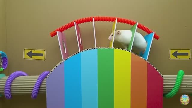 Хомячок убегает из опасного цветочного лабиринта! 4 часть