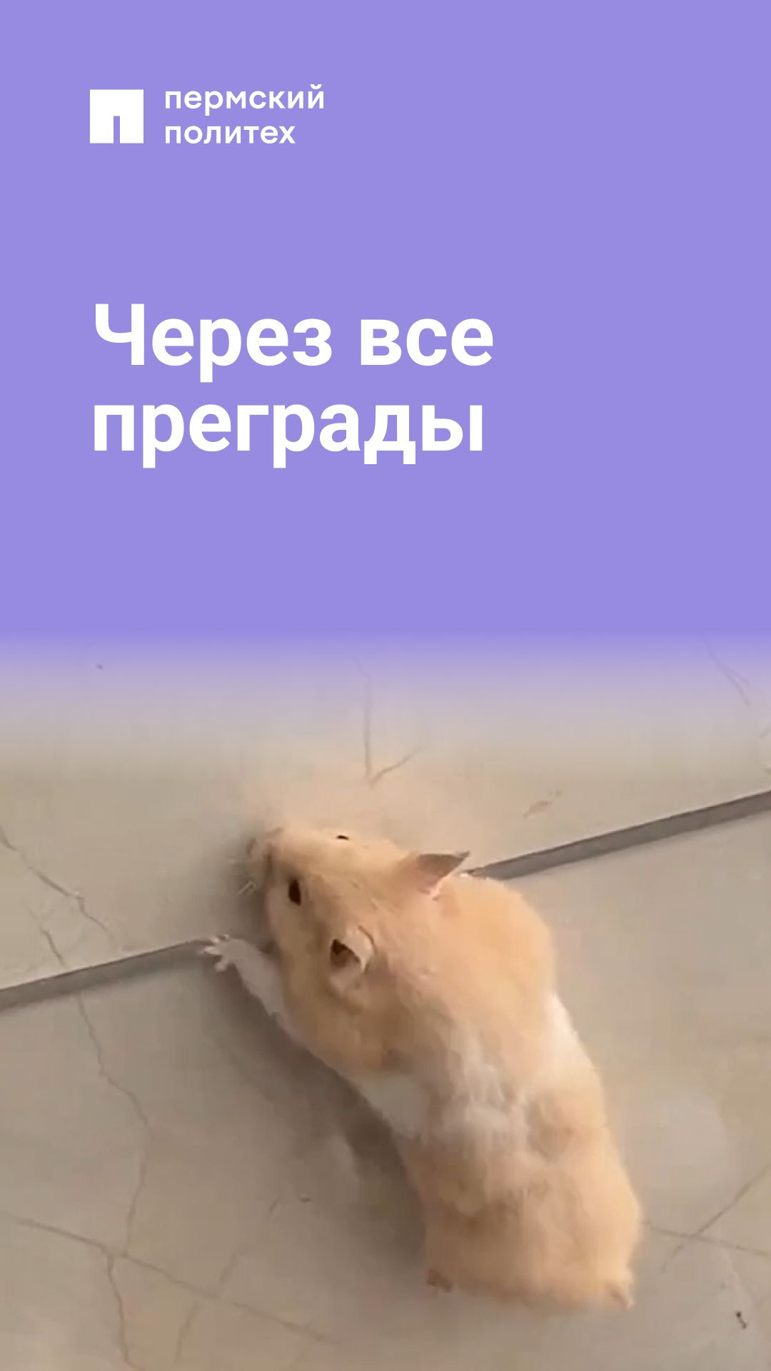 На пути к успеху