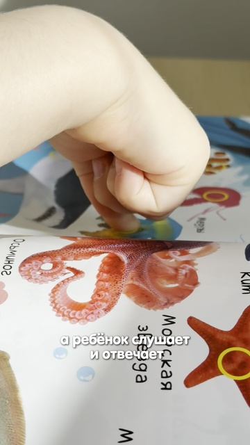 Как развить внимание ребёнка?