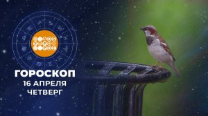 Гороскоп на 16 апреля. Доброе утро. Фрагмент выпуска от 16.04.2026
