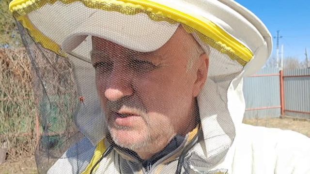 Поилка на пасеке веснои индикатор медосбора а так же источник полезных бактерии