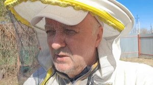 Поилка на пасеке весной индикатор медосбора, а так же источник полезных бактерий