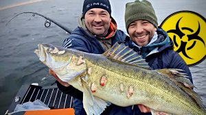 Больные РЫБЫ-ЗОМБИ лезут в лодку! Бью РЕКОРДЫ на Рыбинском водохранилище