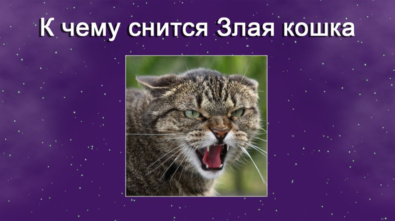 К чему снится Злая кошка - толкование сна
