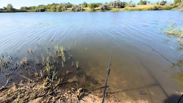 Разведка нового пруда! Бешеные поклевки!