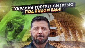 «Накормить мир» радиоактивным зерном: Украина торгует смертью под видом еды