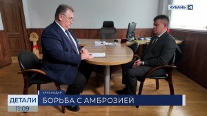 Егор Анищенко: с амброзией эффективно бороться, только вырывая ее с корнем