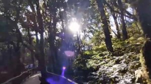 В Тайланд на отдых 9. Самая высокая точка Doi Inthanon. Встреча и расставание с друзьями.