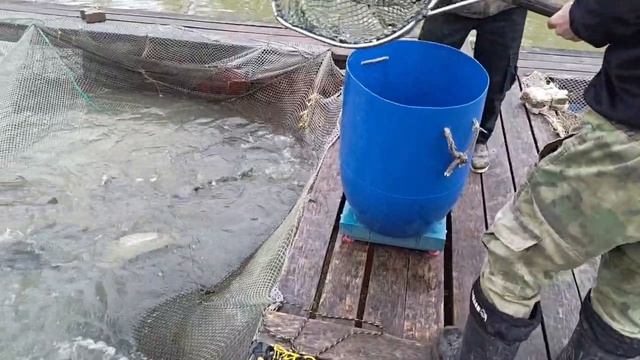 запуск 16 апреля