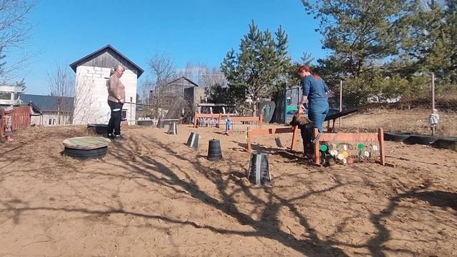 Правила бытовой дрессировки